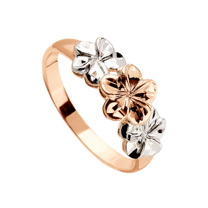 Золотое кольцо