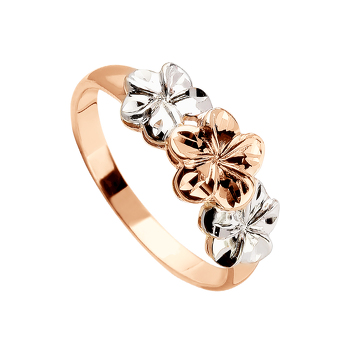 Золотое кольцо