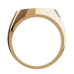 Золотое кольцо