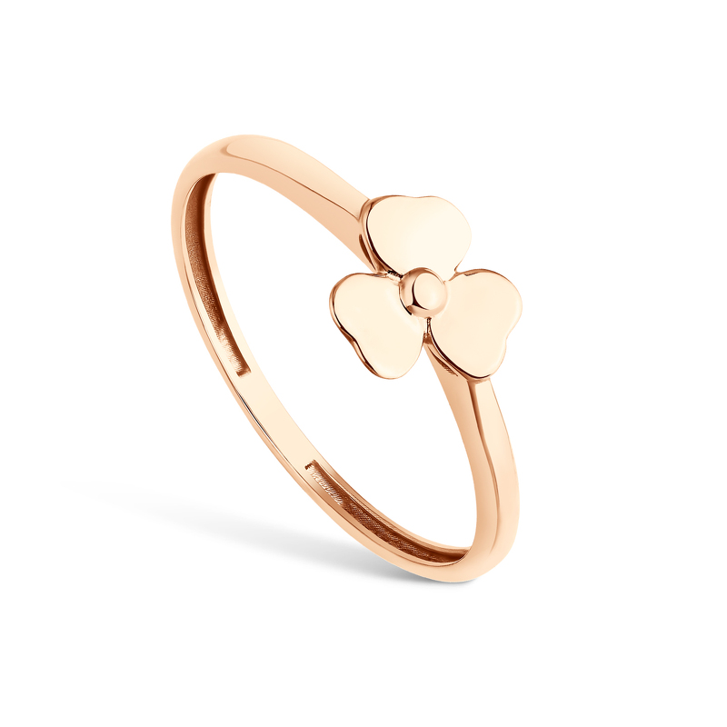 Золотое кольцо