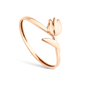 Золотое кольцо