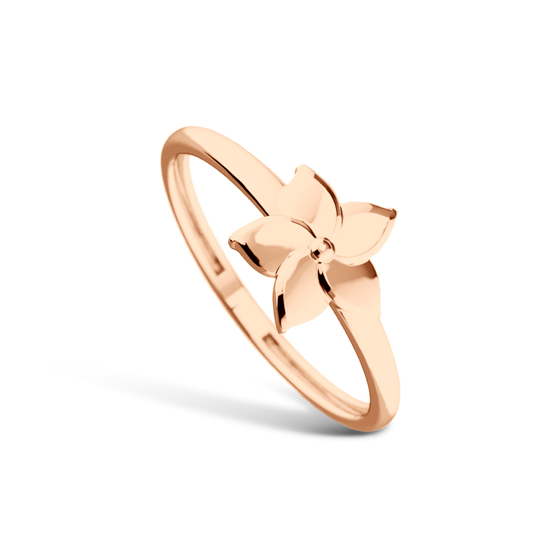 Золотое кольцо