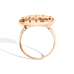 Золотое кольцо