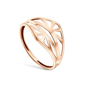 Золотое кольцо