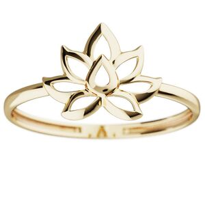 Золотое кольцо