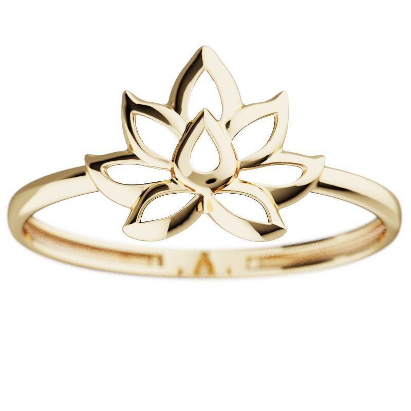 Золотое кольцо