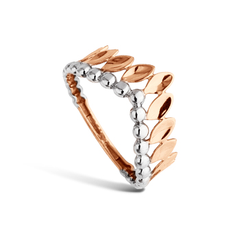 Золотое кольцо