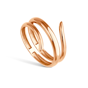 Золотое кольцо