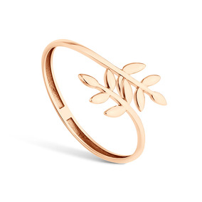 Золотое кольцо