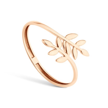 Золотое кольцо