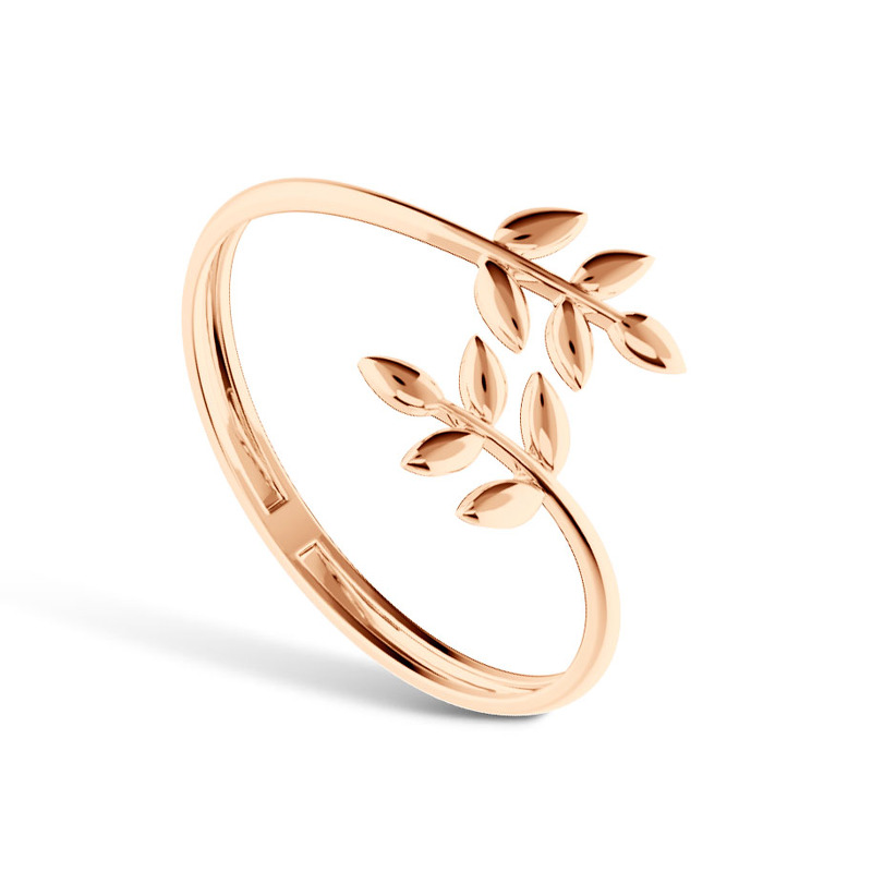 Золотое кольцо