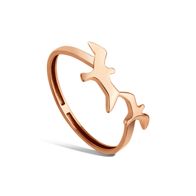 Золотое кольцо «Полет Двух»