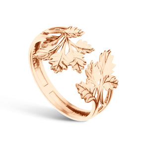 Золотое кольцо