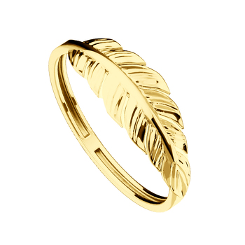 Золотое кольцо