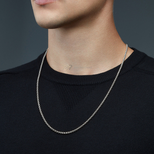 Серебряная цепь «Ролло»