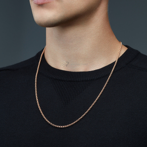 Серебряная цепь «Ролло»