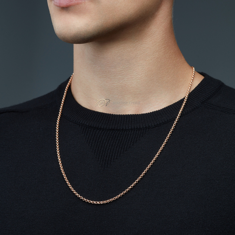 Серебряная цепь «Ролло»